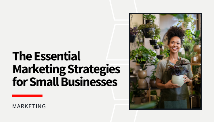 The Essential Marketing Strategies for Small Businesses