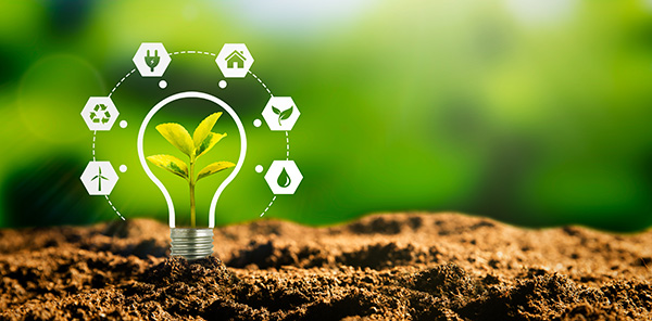 Sustainability Will Be a Key Brand Differentiator