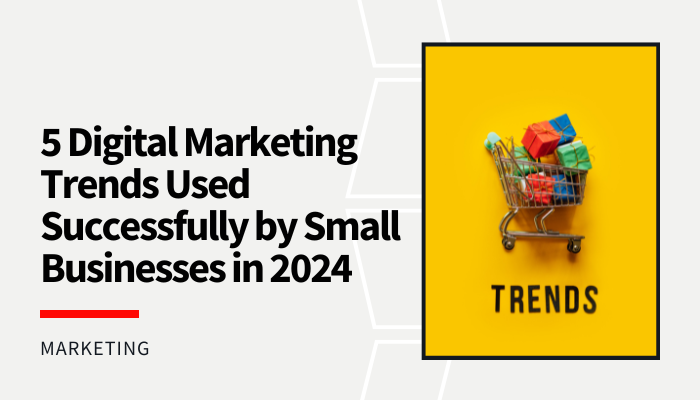 5 Digital Marketing Trends Used Successfully by Small Businesses in 2024