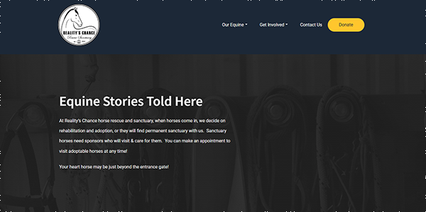 Reality's Chance Horse Rescue & Sanctuary | Website Homepage